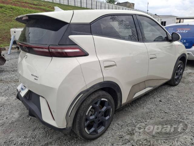 2026 BYD DOLPHIN MINI 