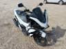 2025 HONDA PCX 