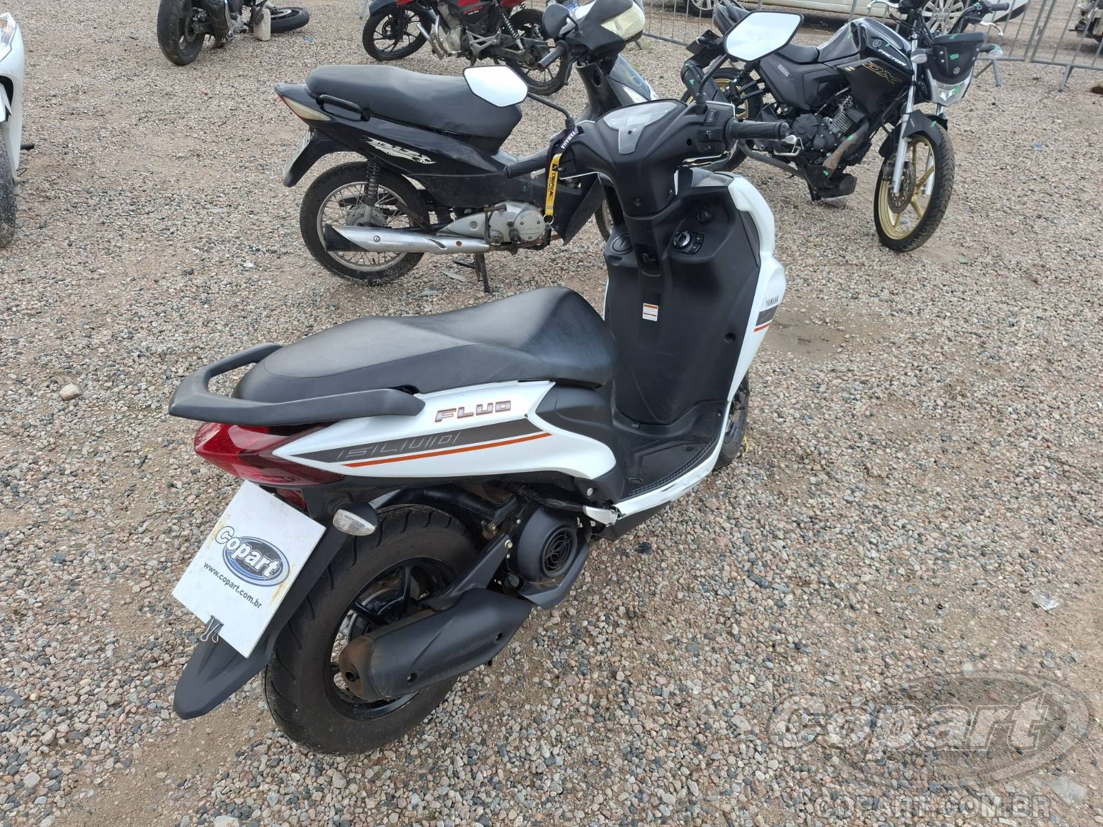 Foto 4: 2024 YAMAHA FLUO