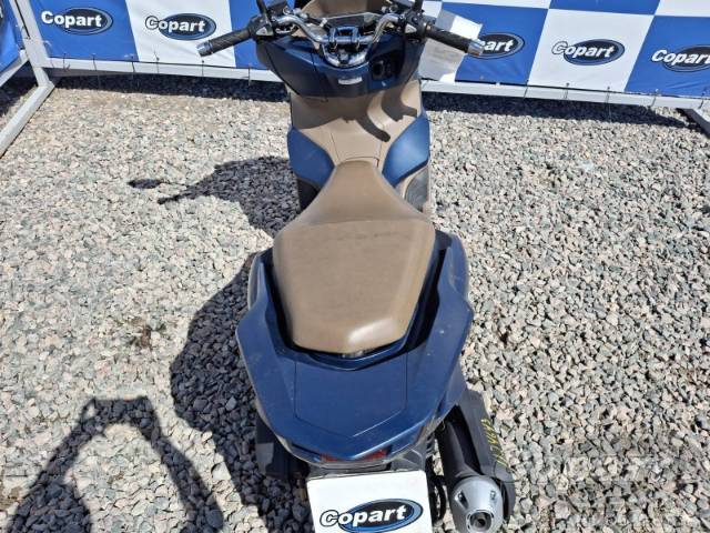 2024 HONDA PCX 