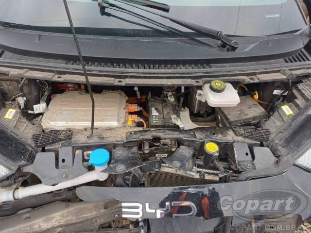 2025 BYD DOLPHIN MINI 