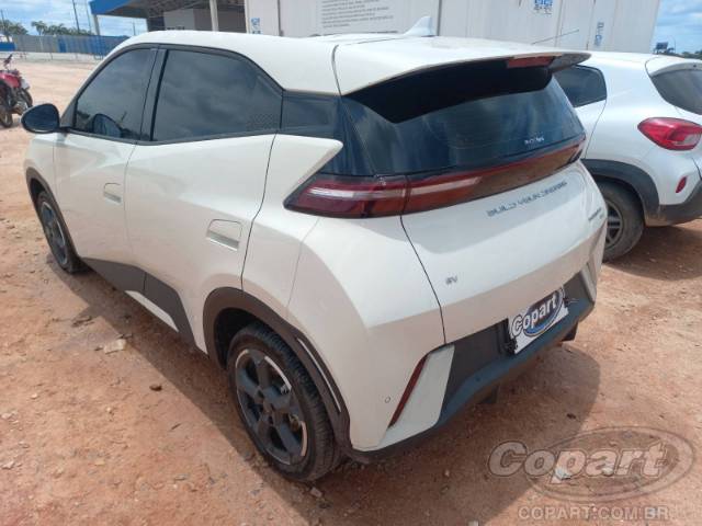2025 BYD DOLPHIN MINI 