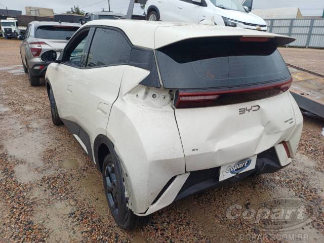 2026 BYD DOLPHIN MINI 