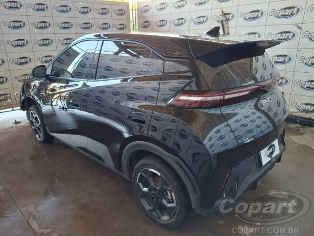 2026 BYD DOLPHIN MINI 