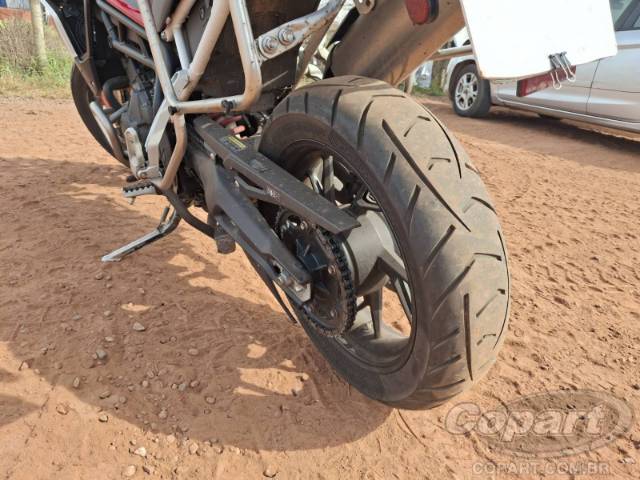 2024 TRIUMPH TIGER 