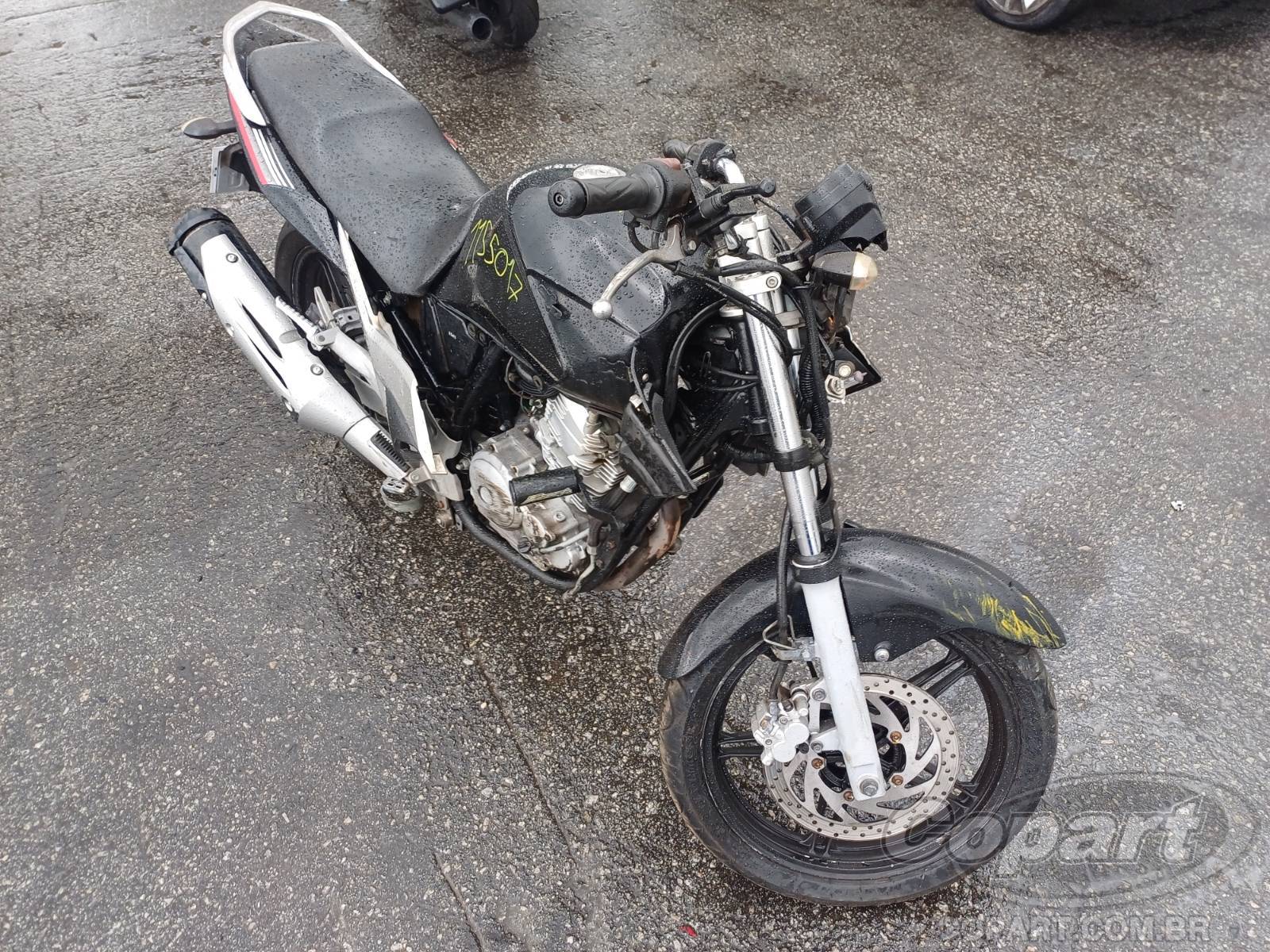Yamaha Fazer YS 250 FAZER/ FAZER L. EDITION /BLUEFLEX