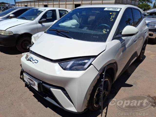 2025 BYD DOLPHIN MINI 