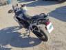 2024 TRIUMPH TIGER 