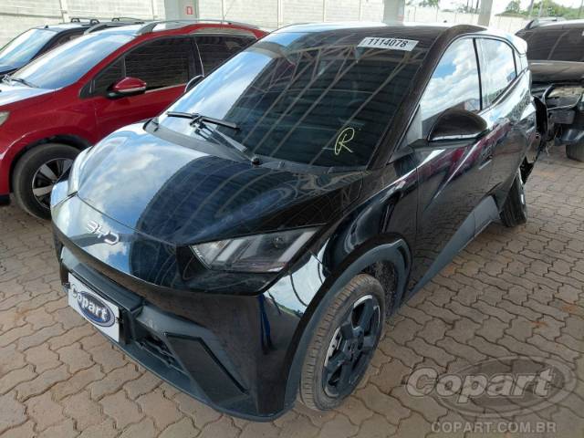 2025 BYD DOLPHIN MINI 