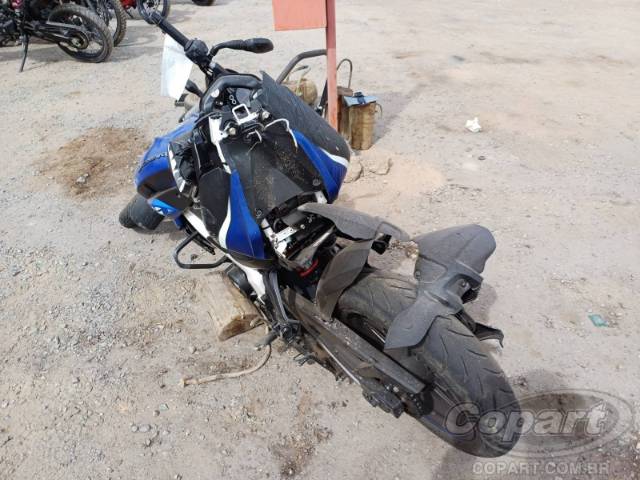 2024 BAJAJ DOMINAR 