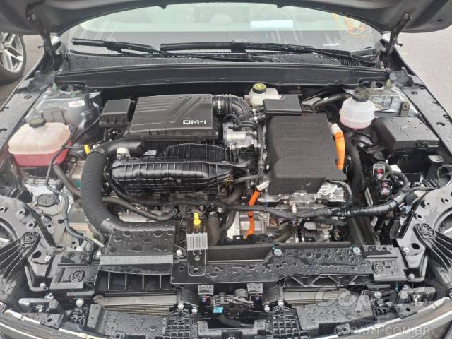 2025 BYD KING 