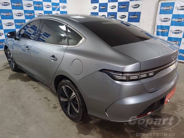 2025 BYD KING 