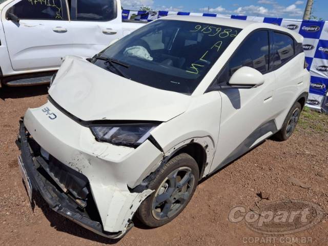 2025 BYD DOLPHIN MINI 