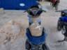 2024 HONDA PCX 