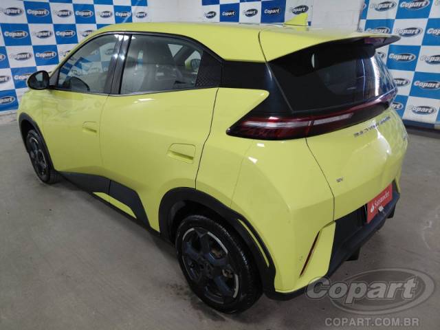 2025 BYD DOLPHIN MINI 