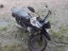 2016 HONDA POP 