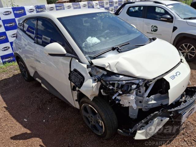 2025 BYD DOLPHIN MINI 