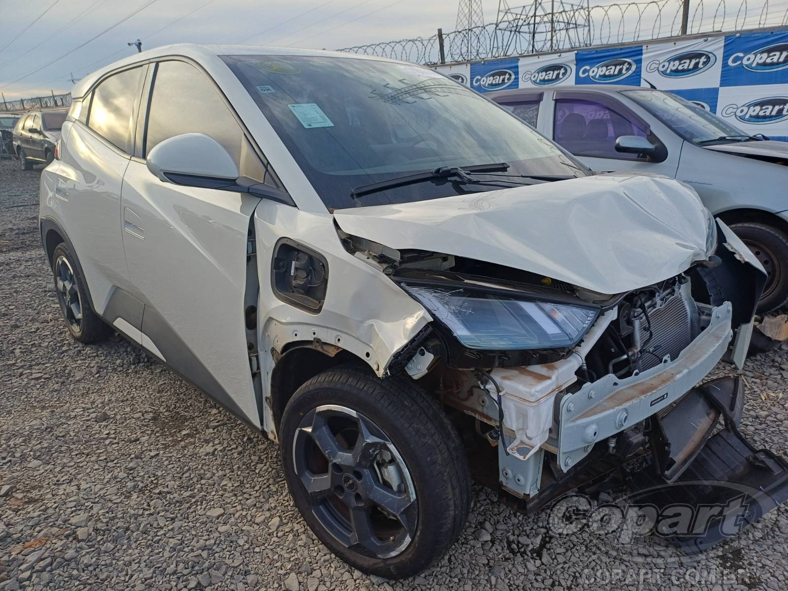 BYD Dolphin Mini