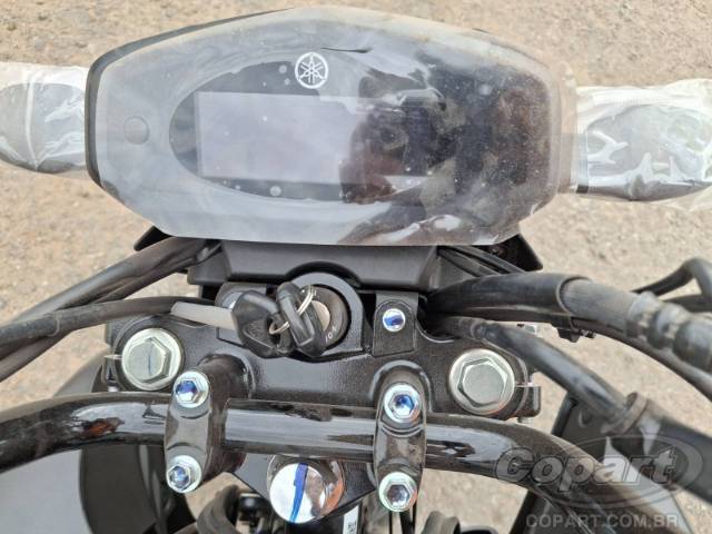 2025 YAMAHA FACTOR 