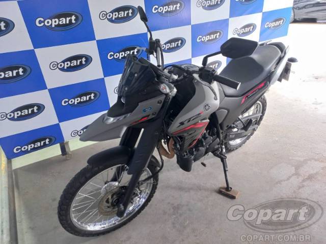2025 YAMAHA XTZ 250 