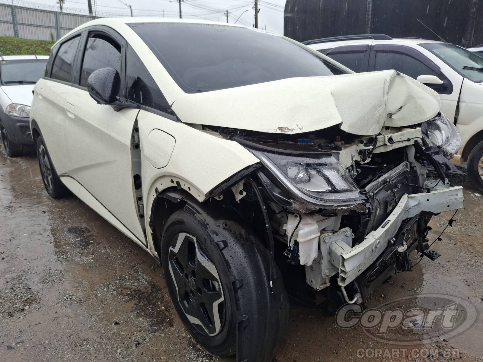 Veículo BYD Dolphin BYD Dolphin EV GS 70 kW 2025 2025 em leilão