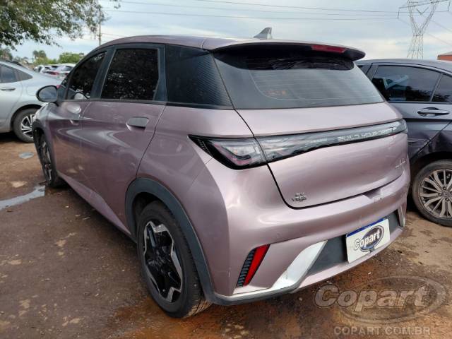 2024 BYD DOLPHIN 