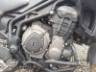 2021 TRIUMPH TIGER 