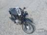 2025 HONDA POP 
