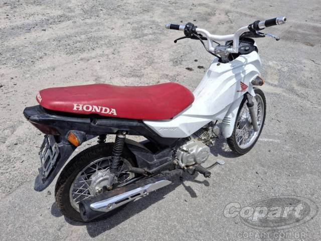 2019 HONDA POP 