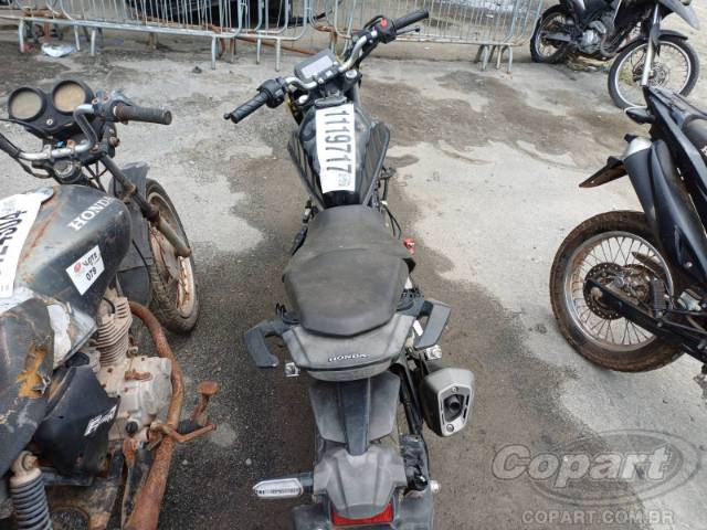 2023 HONDA CB 300F 