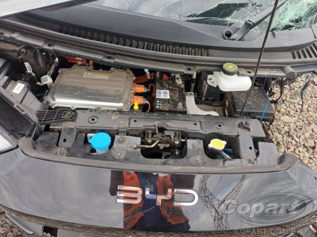 2025 BYD DOLPHIN MINI 