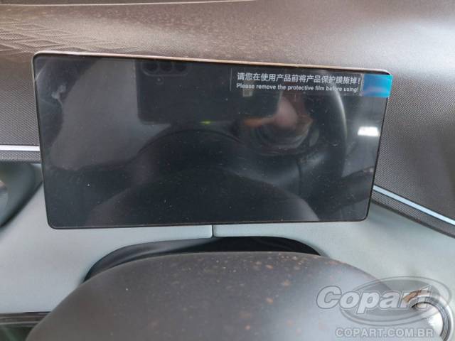 2025 BYD DOLPHIN MINI 