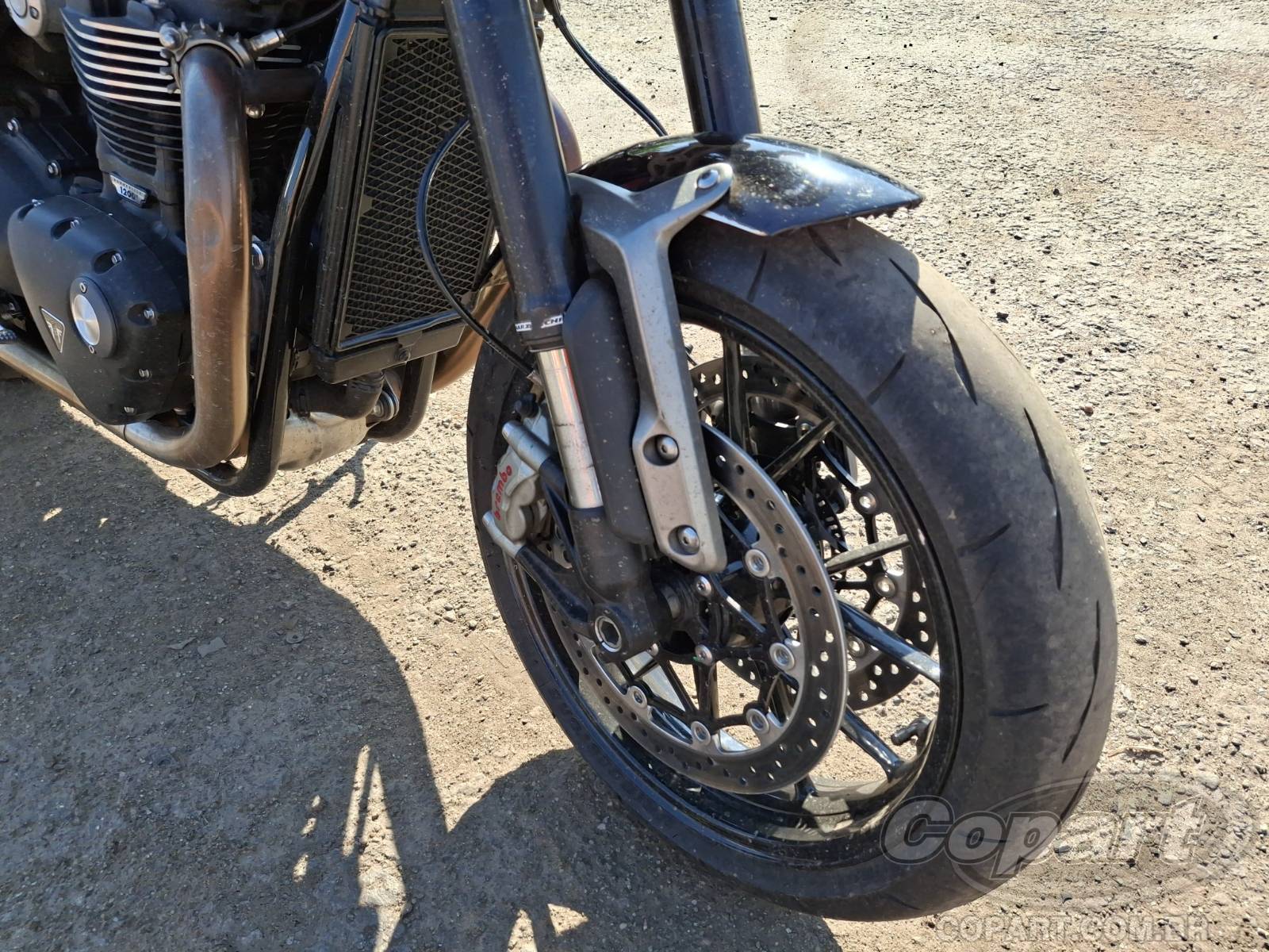 Foto 8 de 10: 2023 TRIUMPH SPEED TWIN