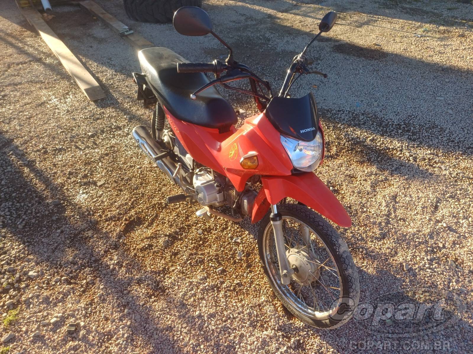 2021 HONDA POP