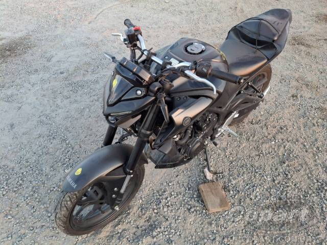 2025 YAMAHA MT-03 