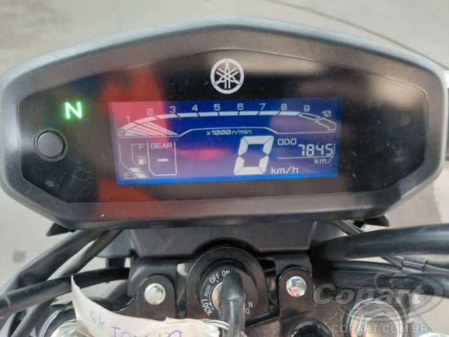 2025 YAMAHA FACTOR 