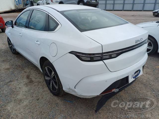 2025 BYD KING 