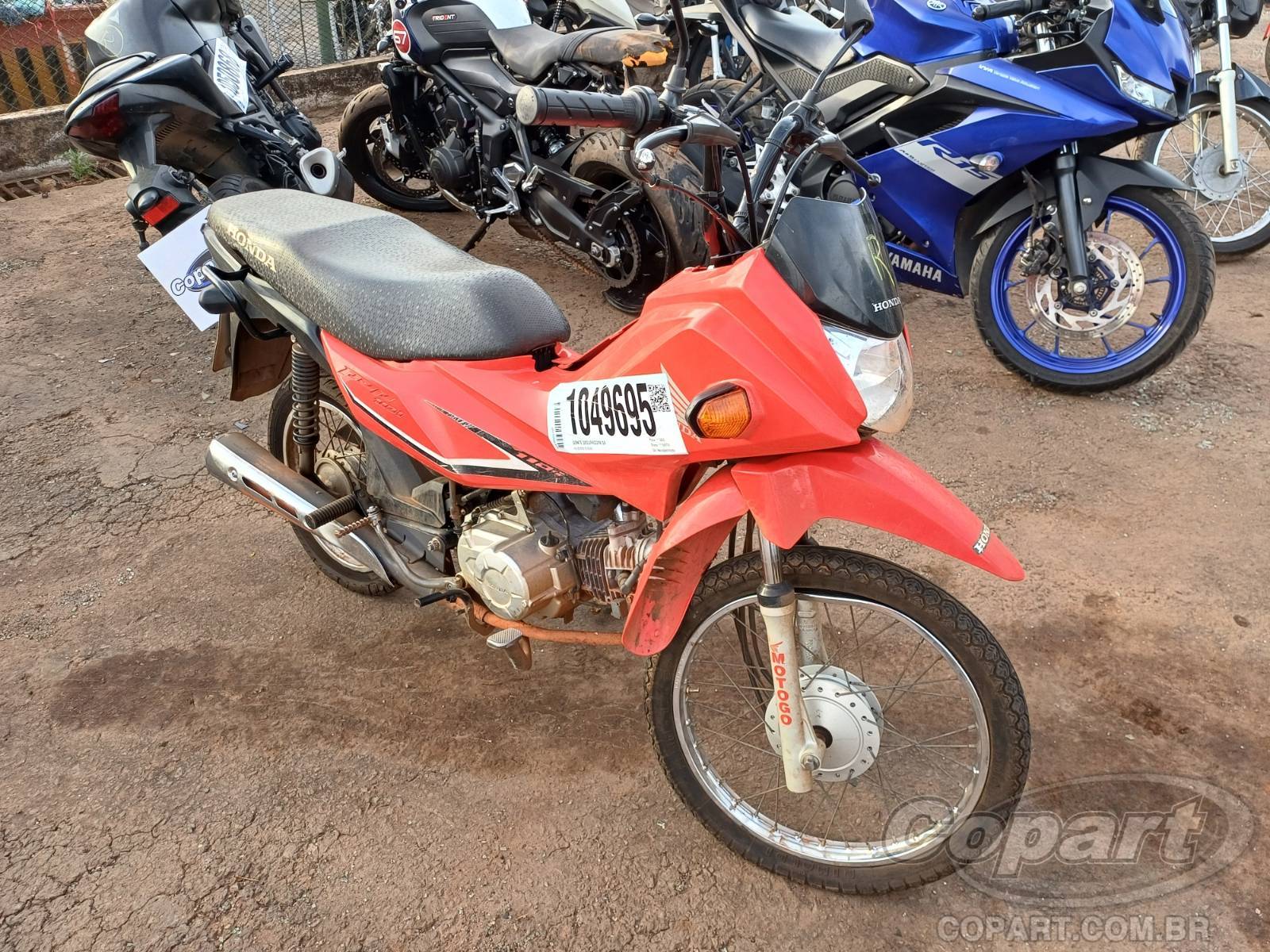 2024 HONDA POP