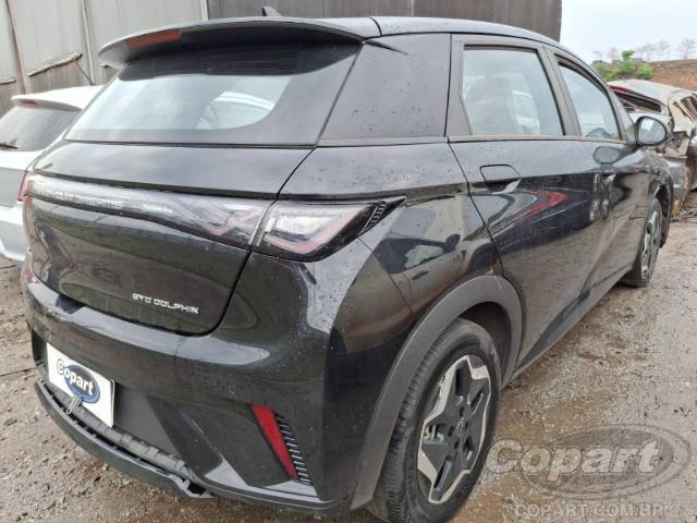 2024 BYD DOLPHIN 