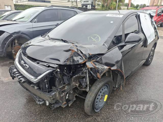 2024 BYD DOLPHIN 