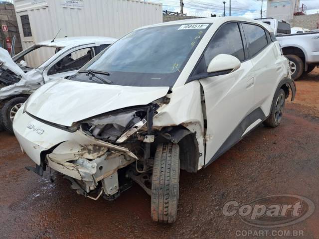 2025 BYD DOLPHIN MINI 