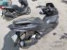 2024 HONDA PCX 