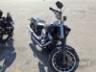 2019 HARLEY-DAVIDSON SOFTAIL 