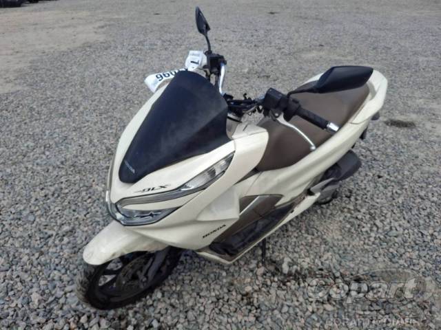 2019 HONDA PCX 