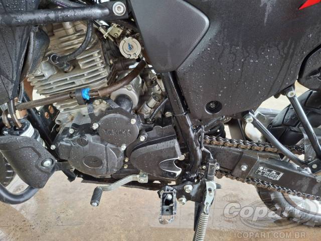 2025 YAMAHA XTZ 250 