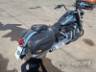 2020 HARLEY-DAVIDSON SOFTAIL 