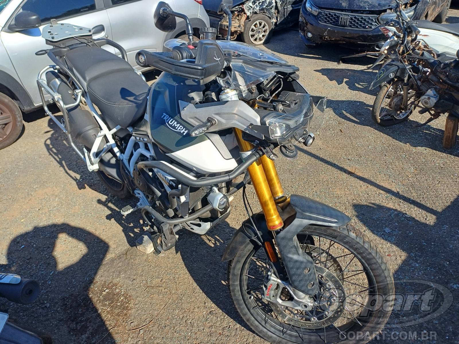 TRIUMPH TIGER