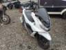 2025 HONDA PCX 