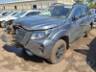 2024 NISSAN FRONTIER CD 
