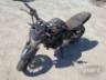 2023 HONDA CB 300F 